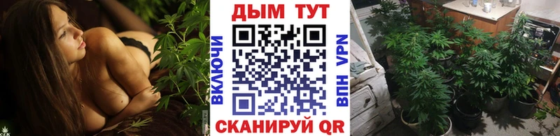 Конопля Дедовск