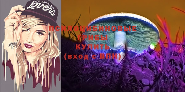 дурь Алзамай