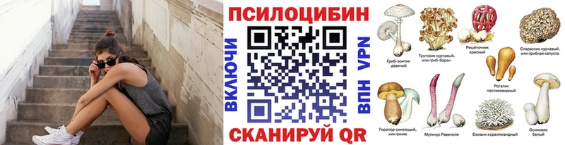 купить наркотики сайты  Дедовск  мега сайт  Псилоцибиновые грибы MAGIC MUSHROOMS 