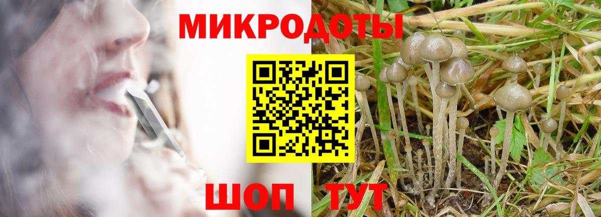Псилоцибиновые грибы прущие грибы Дедовск